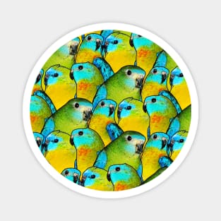 Turquoise Parakeet Parrot Bird Pattern Magnet